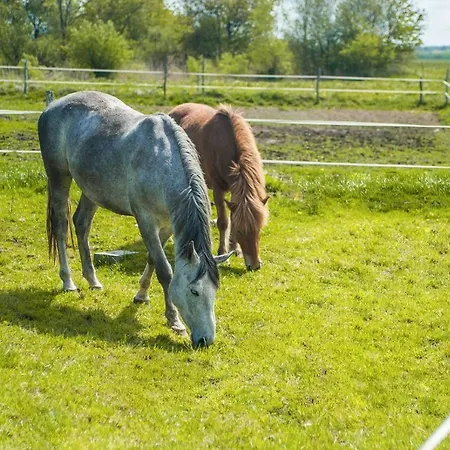 Sielanka Lodge Niechorze