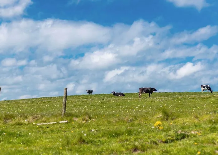 بيت خشبي Sielanka