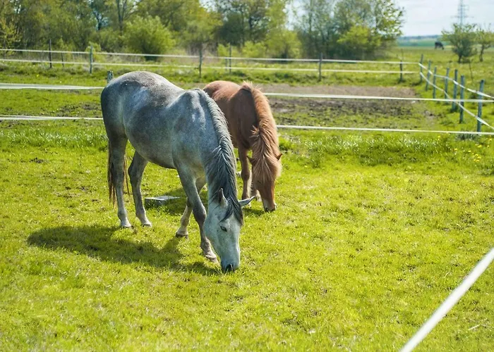 Sielanka Lodge Niechorze